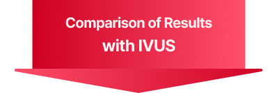 IVUS 결과